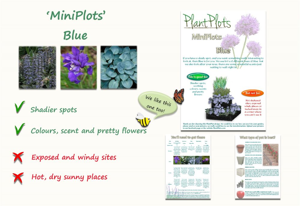 Garden Border Planting Design Plan blue shade pretty flowers