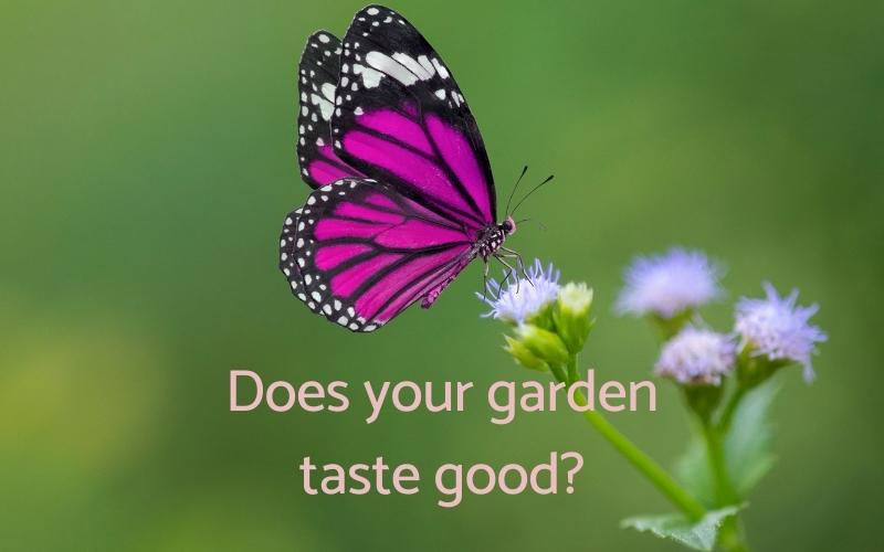 Does your garden taste good-bp-fi
