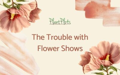 trouble-with-flower-shows-bp-fi