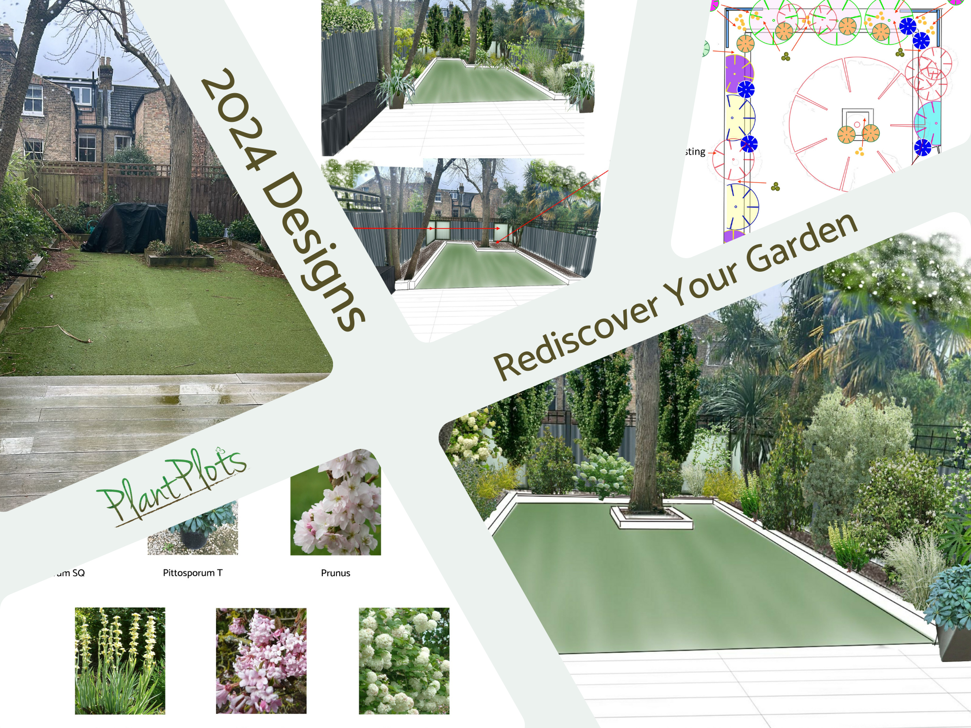 Low Maintenance Planting Ideas PlantPlots Low Maintenance Planting Ideas PlantPlots