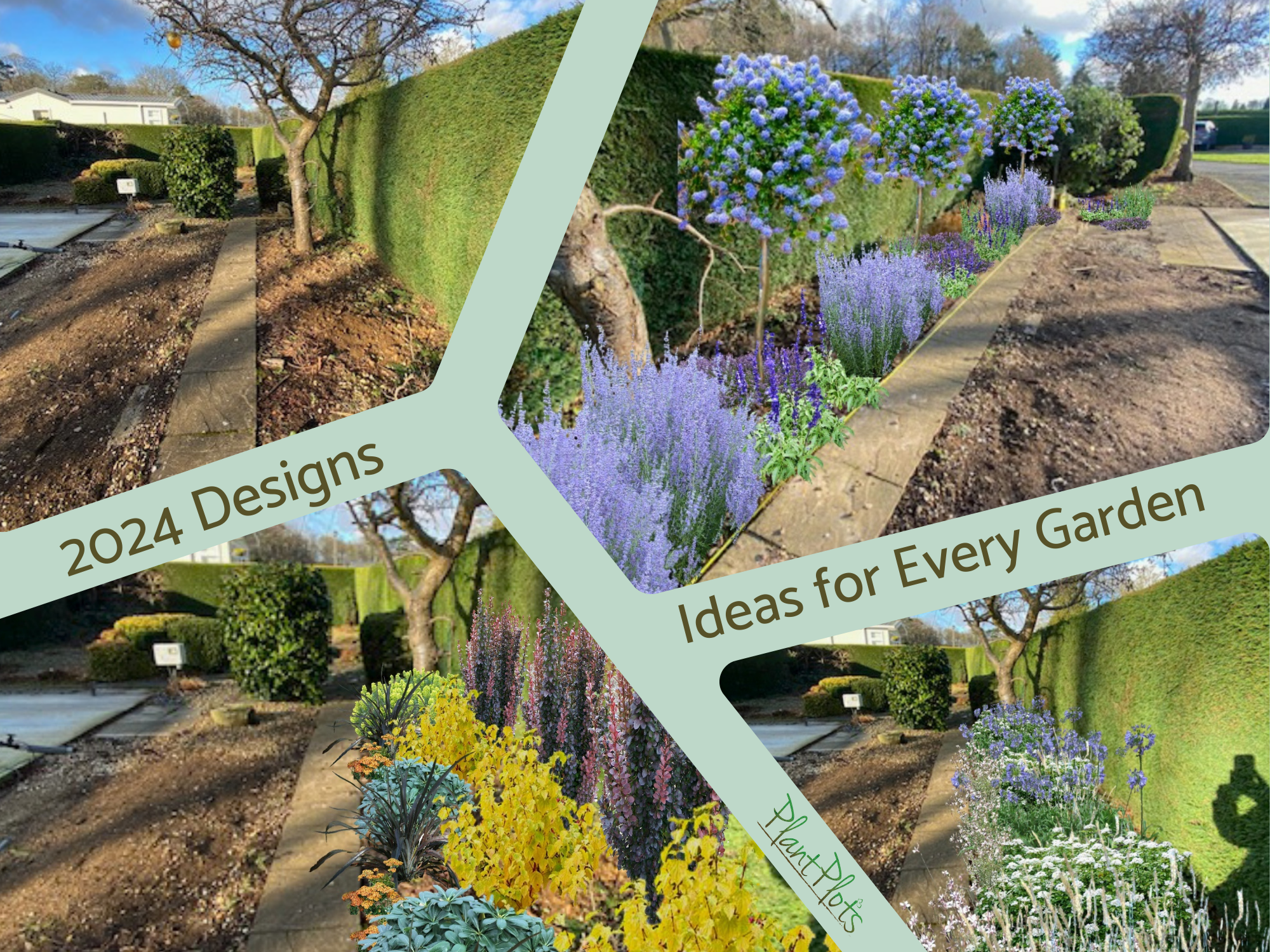 Planting Ideas for Gardens PlantPlots Planting Ideas for Gardens PlantPlots