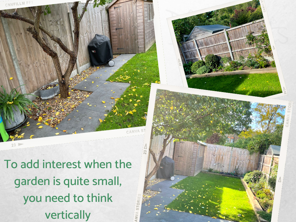 Small city garden redesign Small city garden redesign