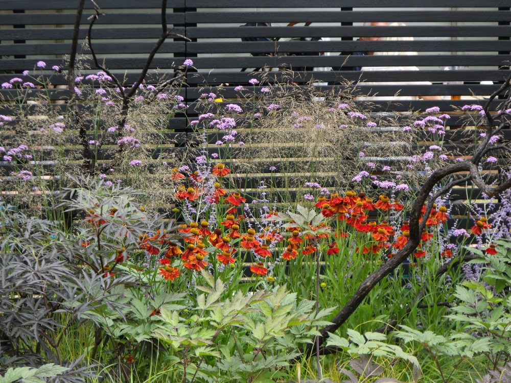 HC flower show slatted fence red plants HC flower show slatted black fence red plants