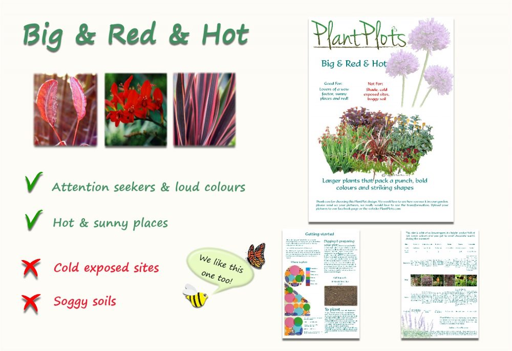 Garden Border Planting Design Plan large red plants and flowers