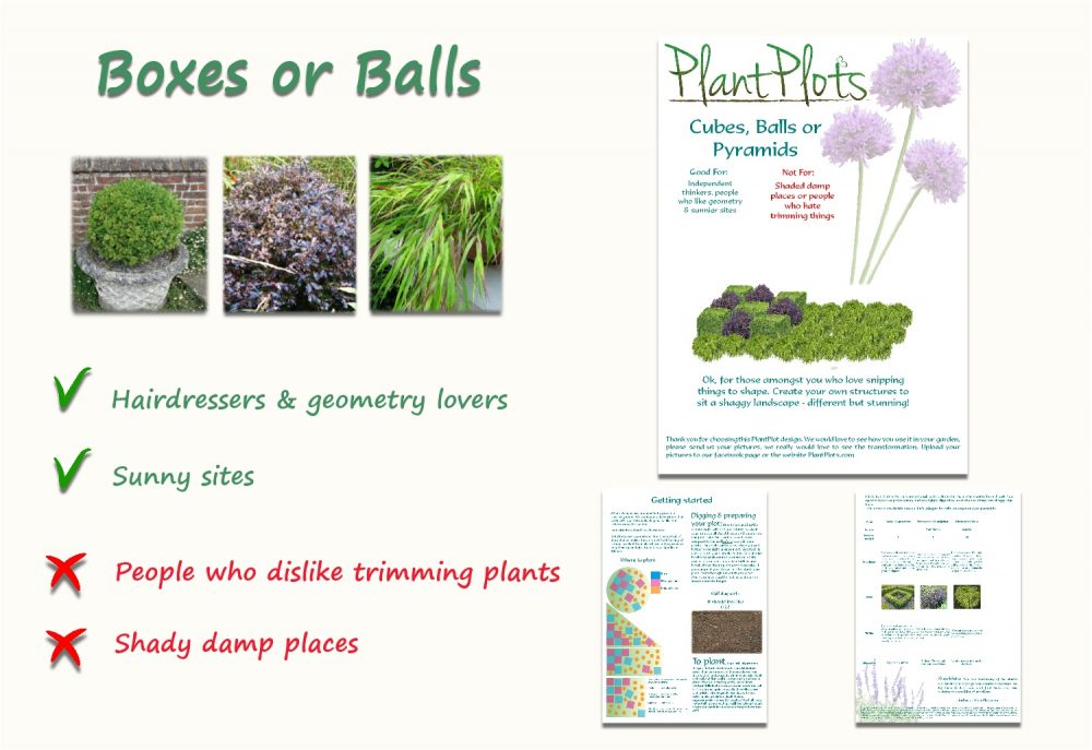 Garden Border Planting Design Plan foliage for topiary lovers