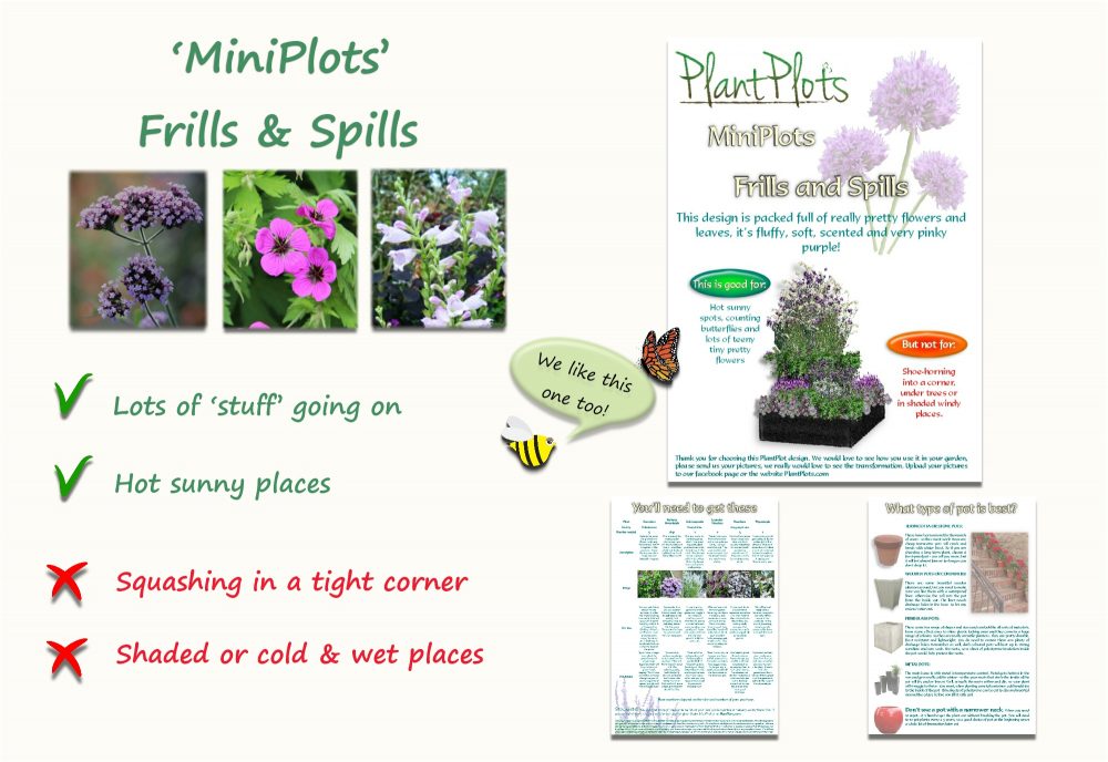 Garden Border Planting Design Plan soft planting scheme in purple and pink