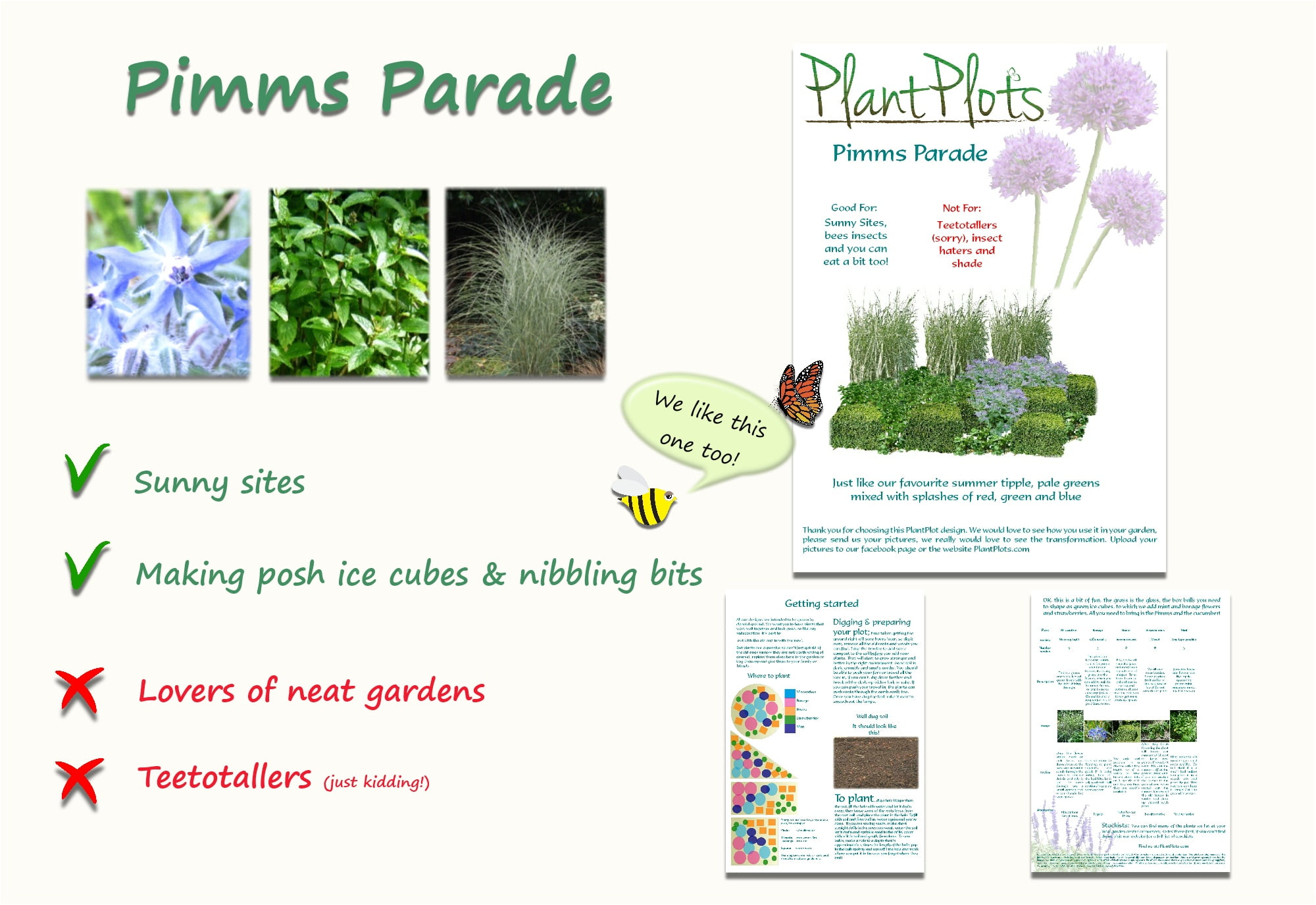 Garden Border Planting Design Plan soft scented plating in green blue flowers