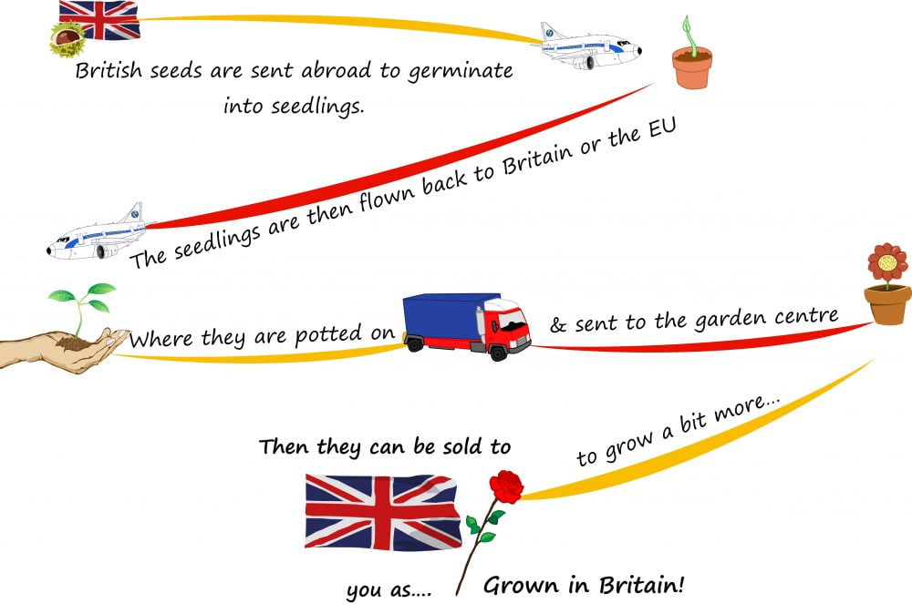 What grown in the UK really means