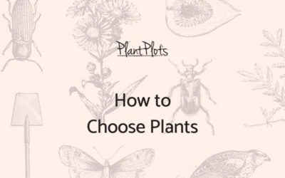 How to Choose Plants-03-feb-2019-bp-fi