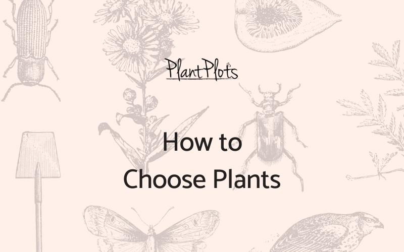 How to Choose Plants-03-feb-2019-bp-fi