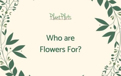 who-are-flowers-for-bp-fi