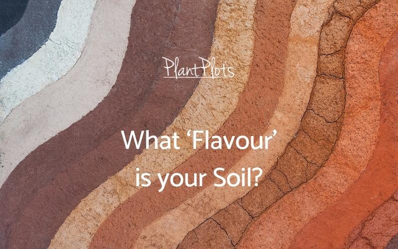 What ‘Flavour’ is your Soil?