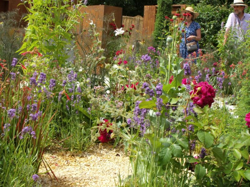 How to choose a garden colour scheme