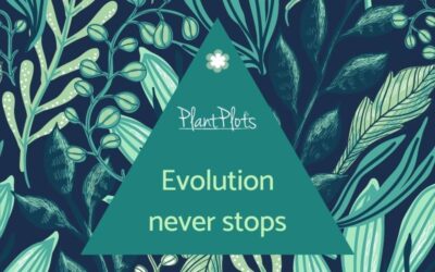 evolution-never-stops-bp-fi