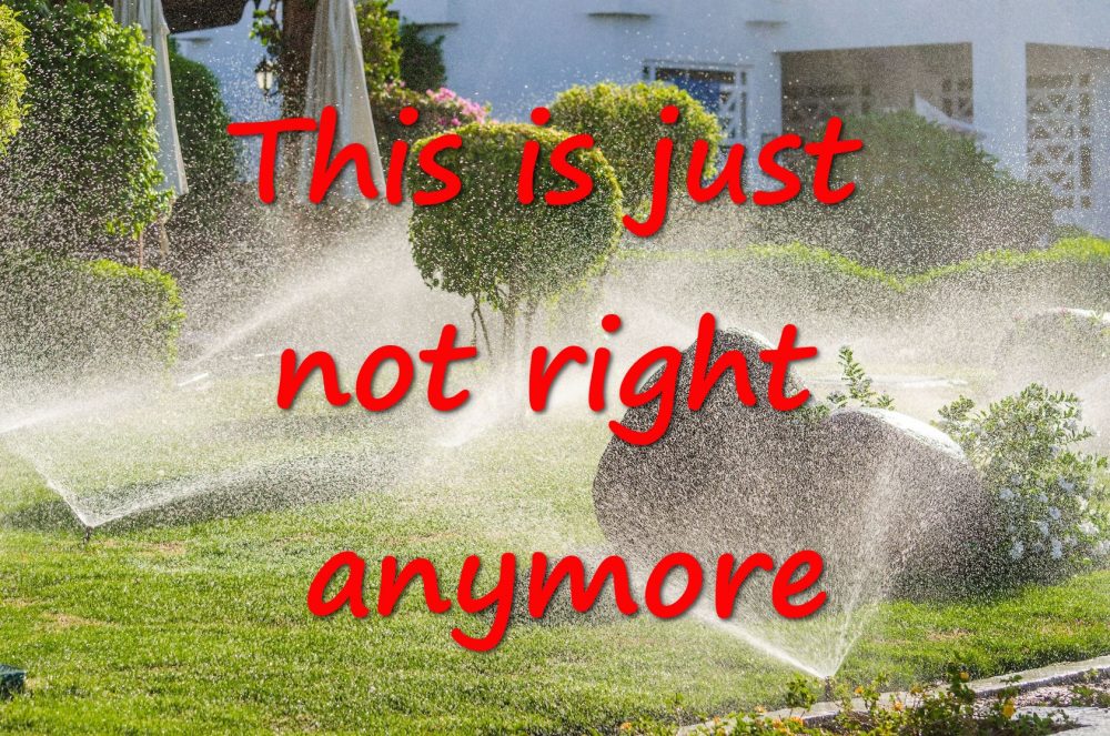 watering garden sprinkler systems should you water the garden question