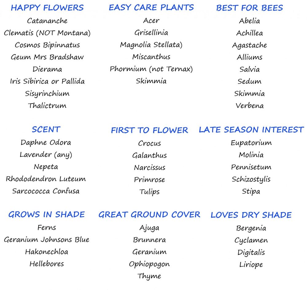 50 good plants beginner gardener list of plants
