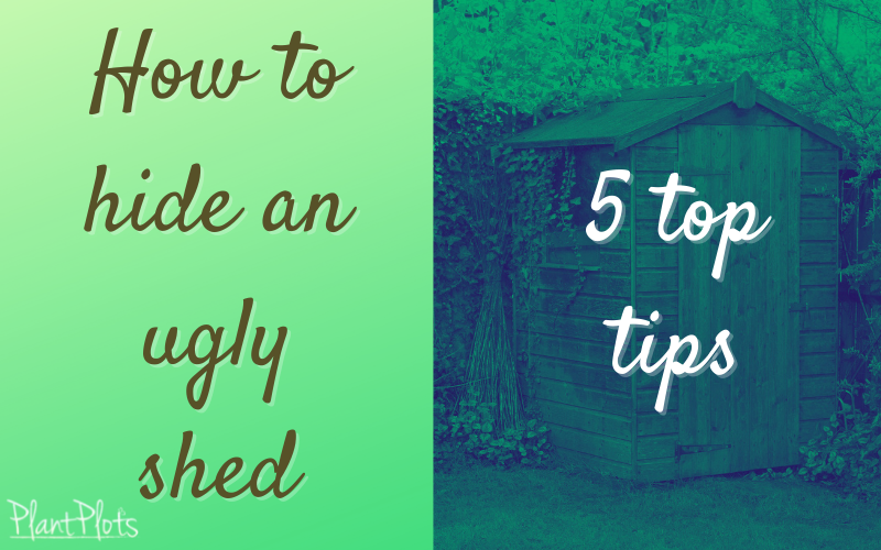Hide ugly garden shed top tips