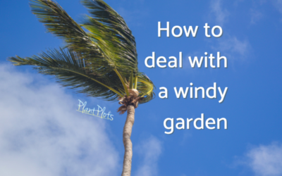 How to deal with a windy garden