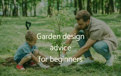 garden design advice for beginners-bp-fi