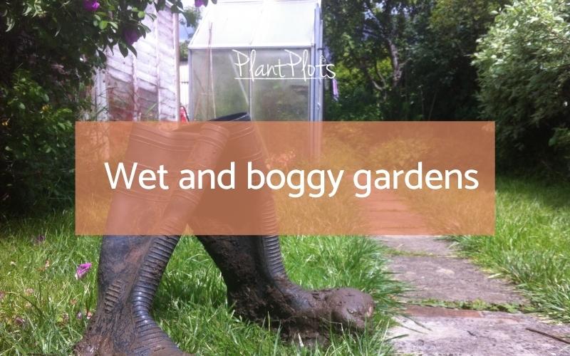 Wet and boggy gardens