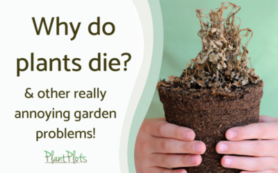 why do plants die