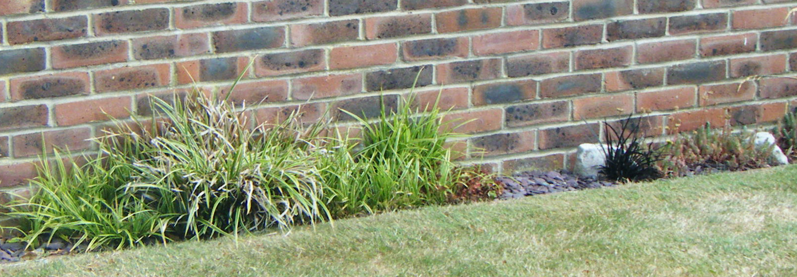 garden design rules, plant eye level down not feet up. Image shows tiny plants beside a tall wall