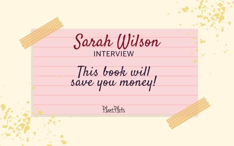 sarah-wilson-podcast-interview-bp-fi