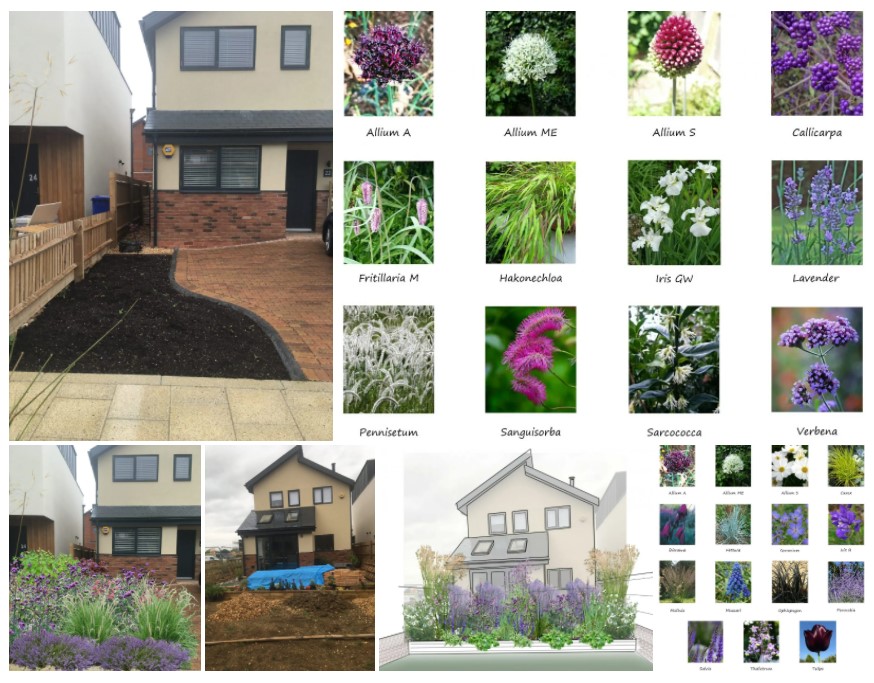 garden-synergy-creating-impactful-bordes-blog-post