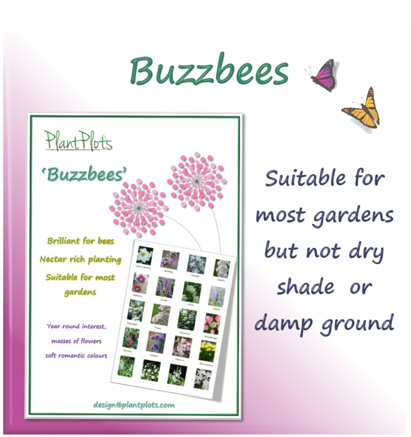 link to bee friendly garden design product