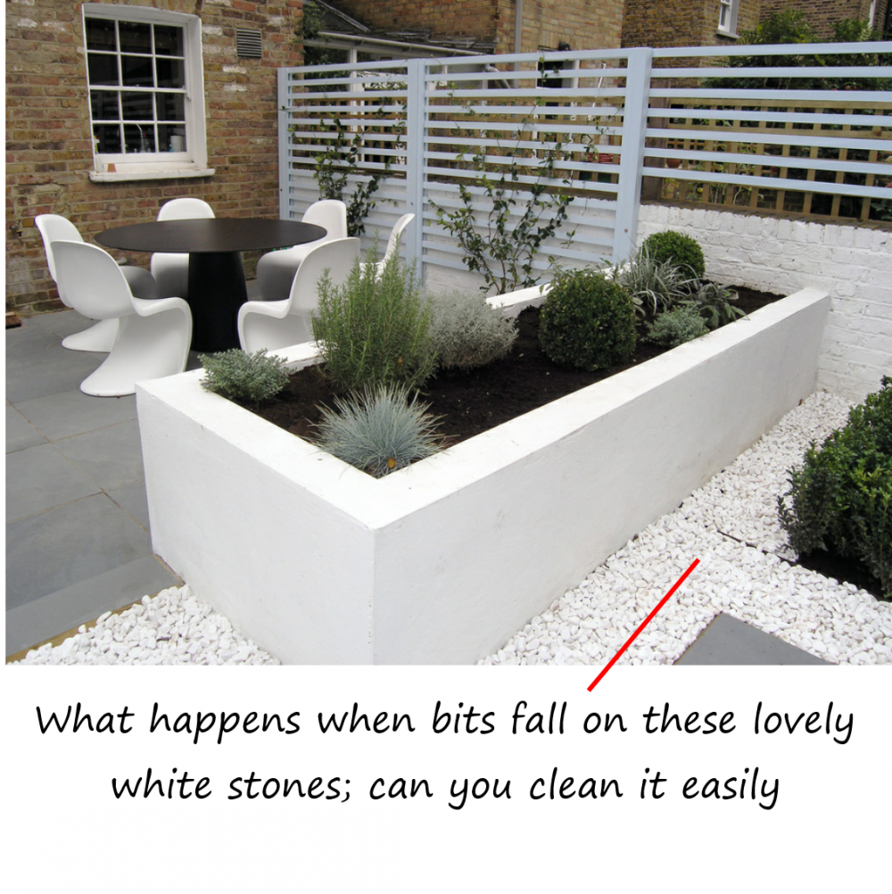 what-is-a-contemporary-garden-problems-1