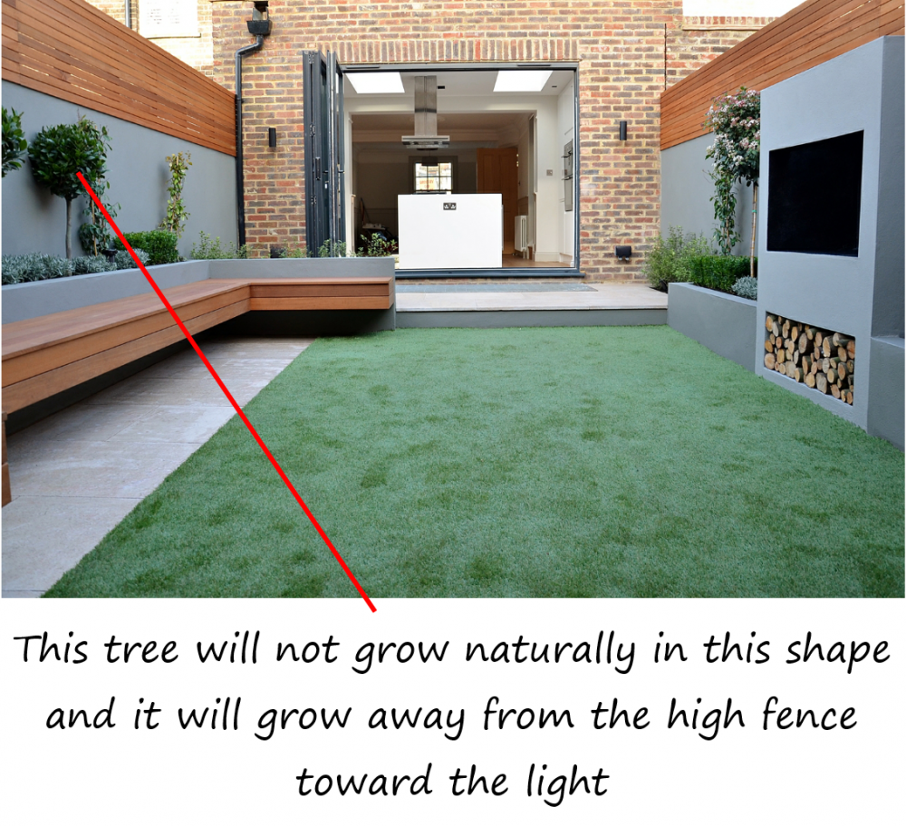 what-is-a-contemporary-garden-problems-2