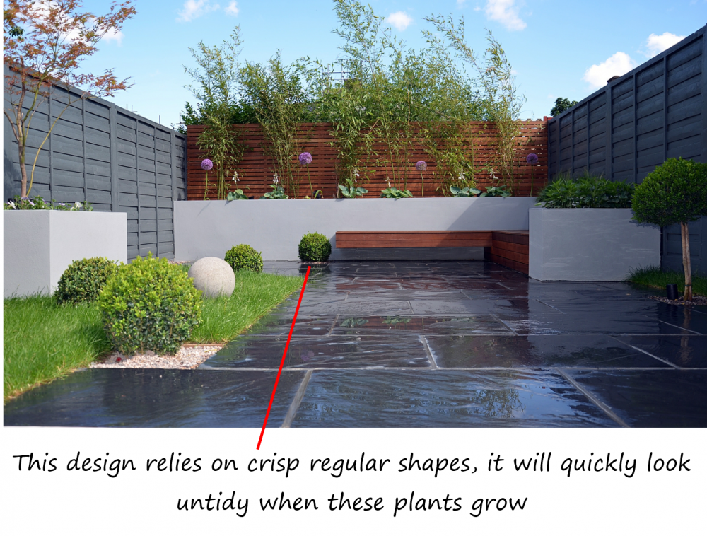 what-is-a-contemporary-garden-problems