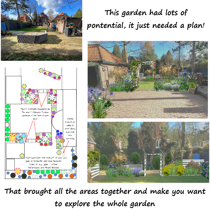 Modern style garden layout