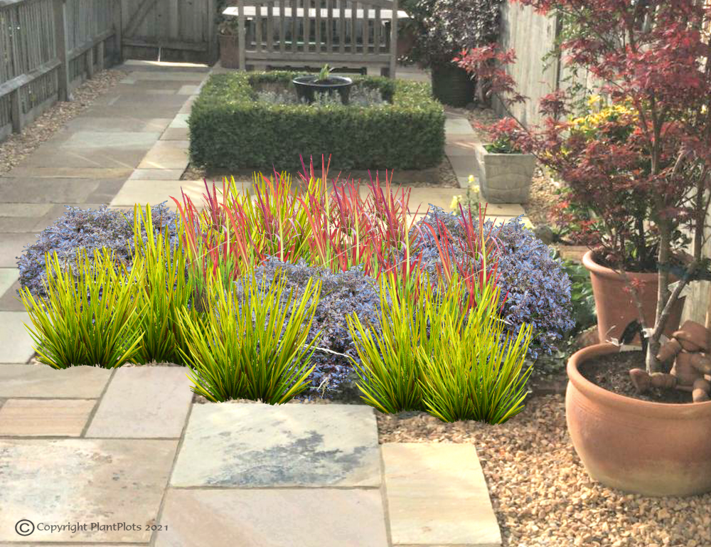 Planting Ideas For Sunny Borders Fab Fronts For Sun  Plantplots