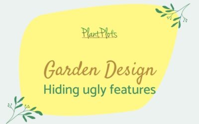 Garden Planning Tips Hide Ugly Features-bp-fi