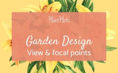 How to Make a Garden Interesting using Focal Points