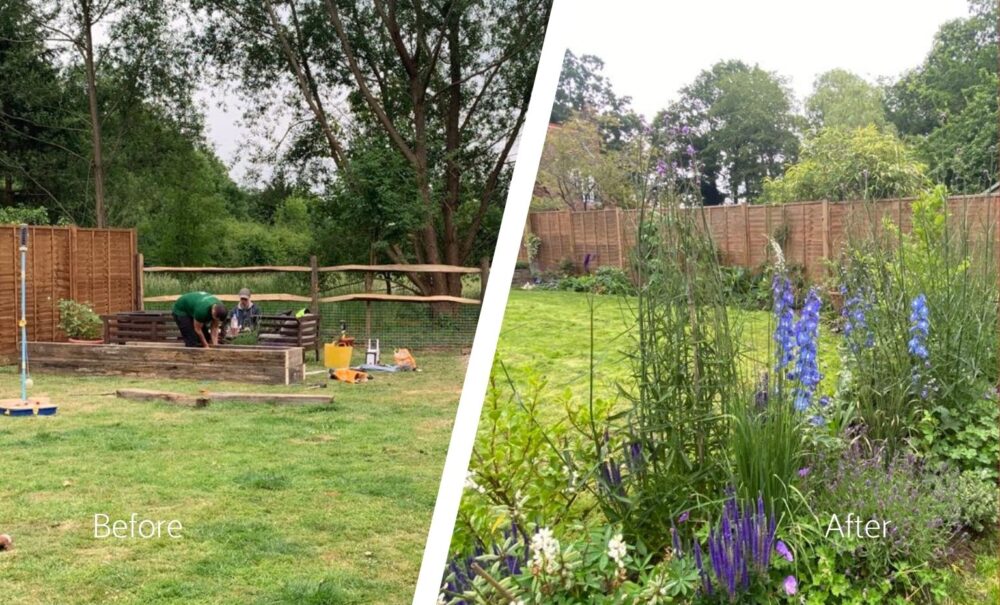 garden-design-before-after-hp4 garden-design-before-after