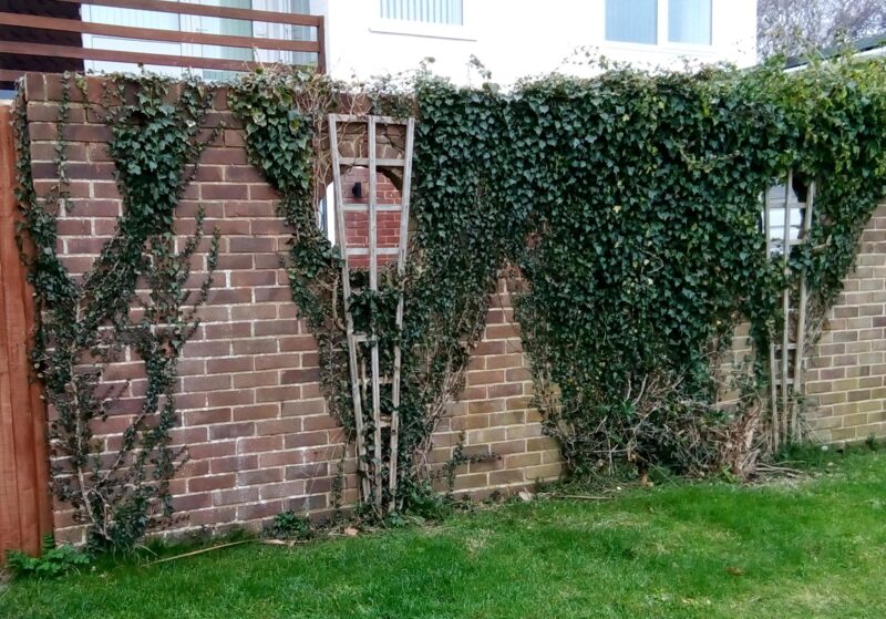 How to Hide Ugly Garden Features