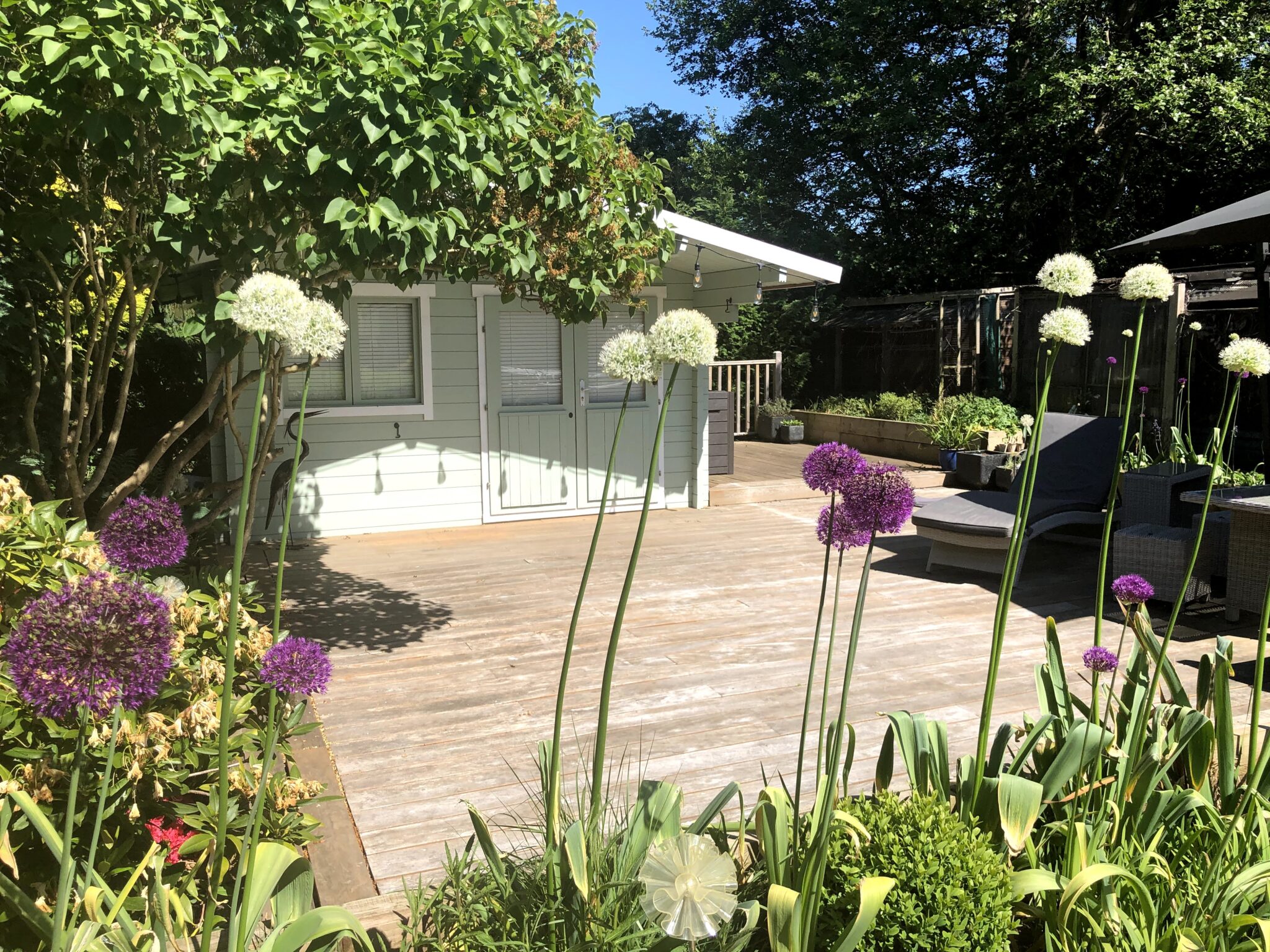 youtube-thumb-hp youtube plantplots