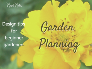 Garden planning advice