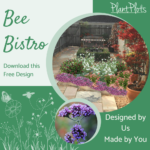 Bee Bistro garden border design