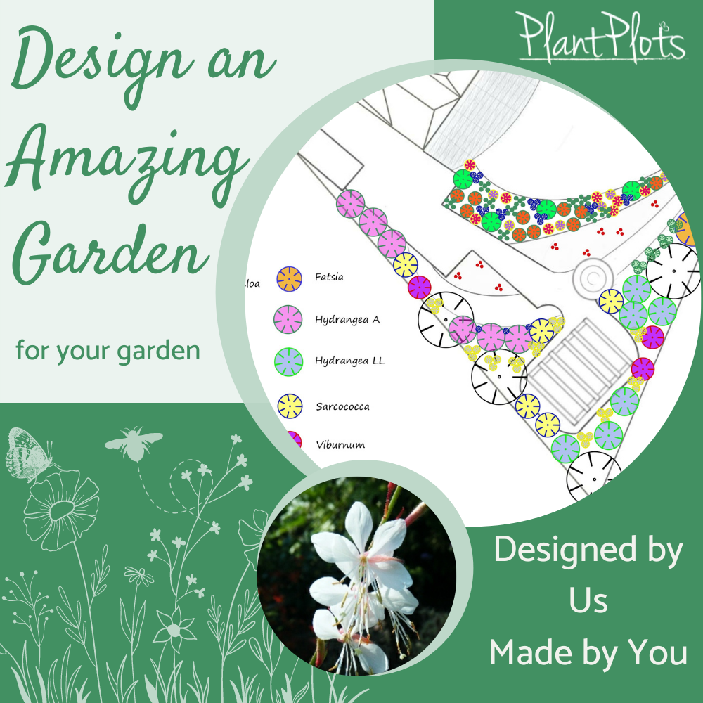 Design an amazing garden