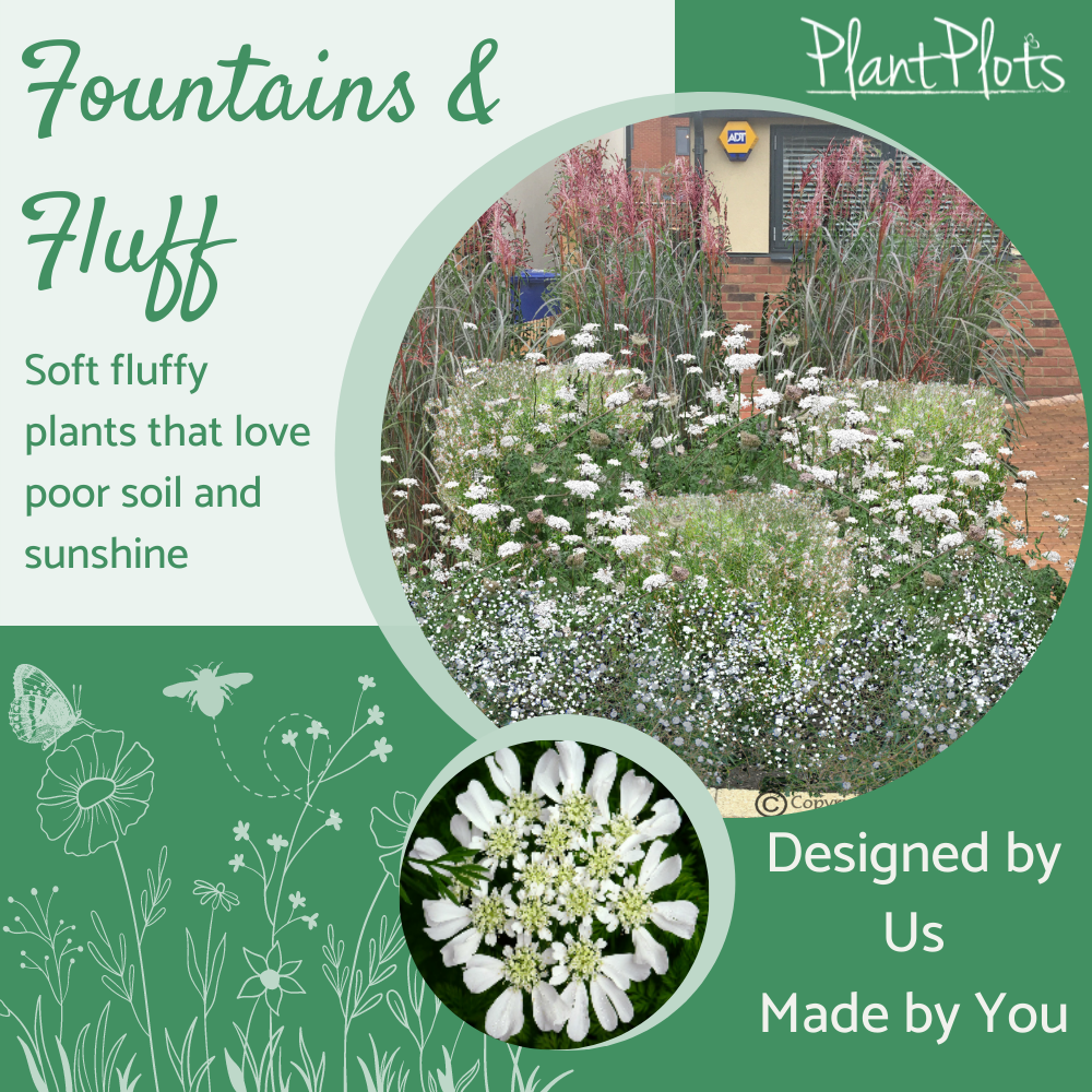 Fountains and Fluff garden border design