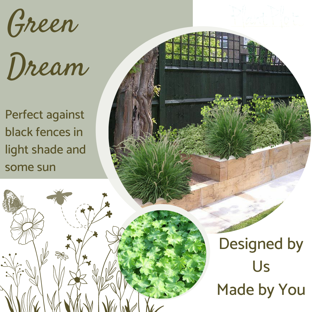 Green Dream garden border design