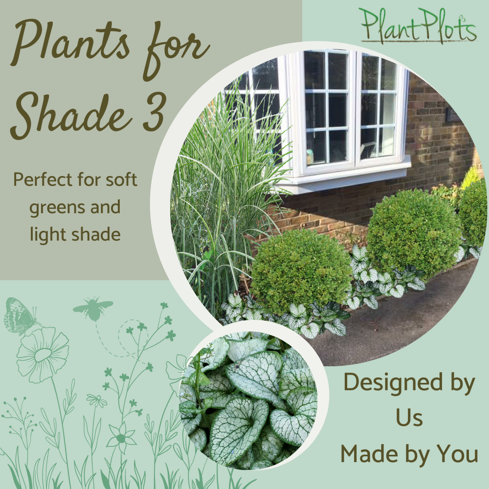 Plants for Shade garden border design