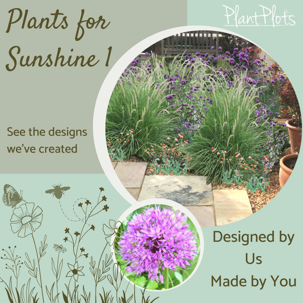 Plants for Sun garden border design