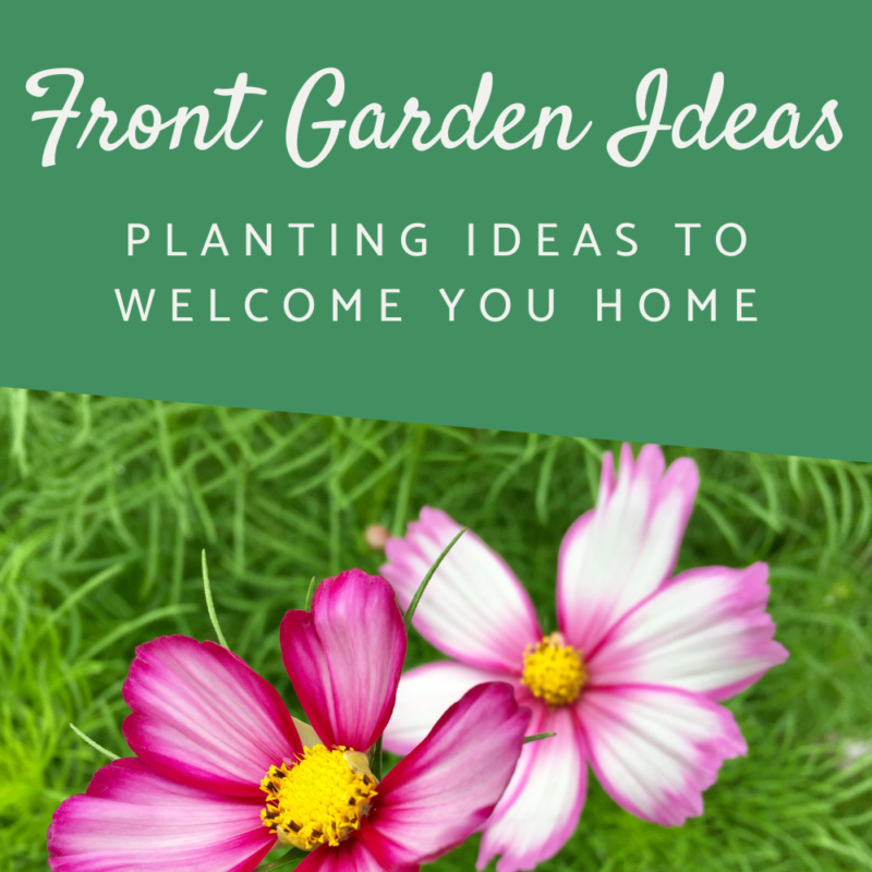 Front Garden Ideas