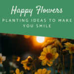 Shop category images happy flowers Shop category images happy flowers