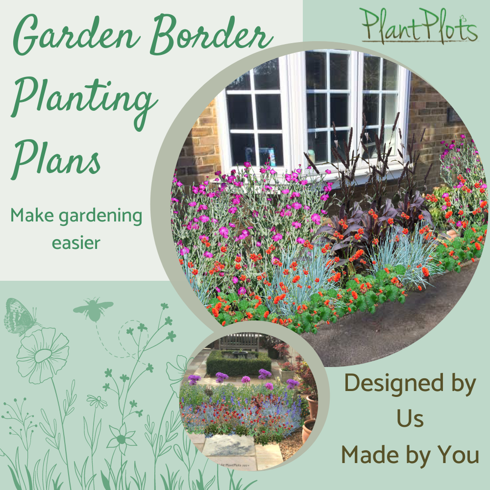 garden border plantin plans home pg