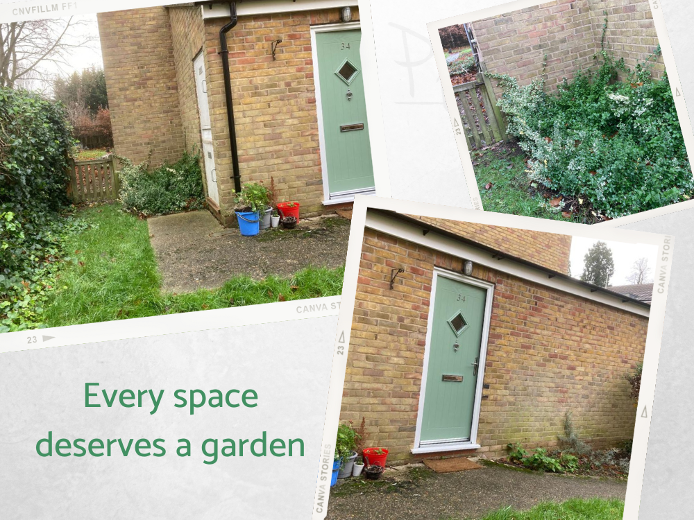 MH small front garden space MH small front garden space